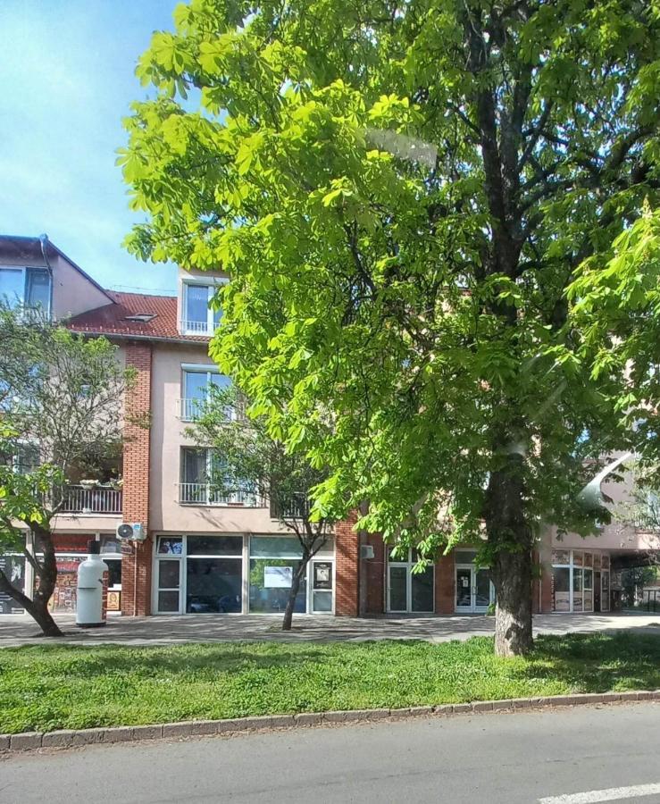 Rozsa Apartman Keszthely Bagian luar foto